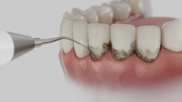 Reliable Dental contractor in Basye, VA by Dentist Open Now